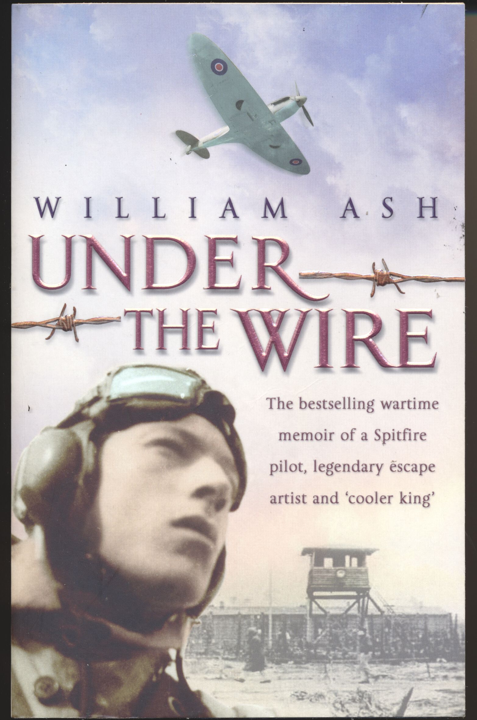 Under The Wire - William Ash